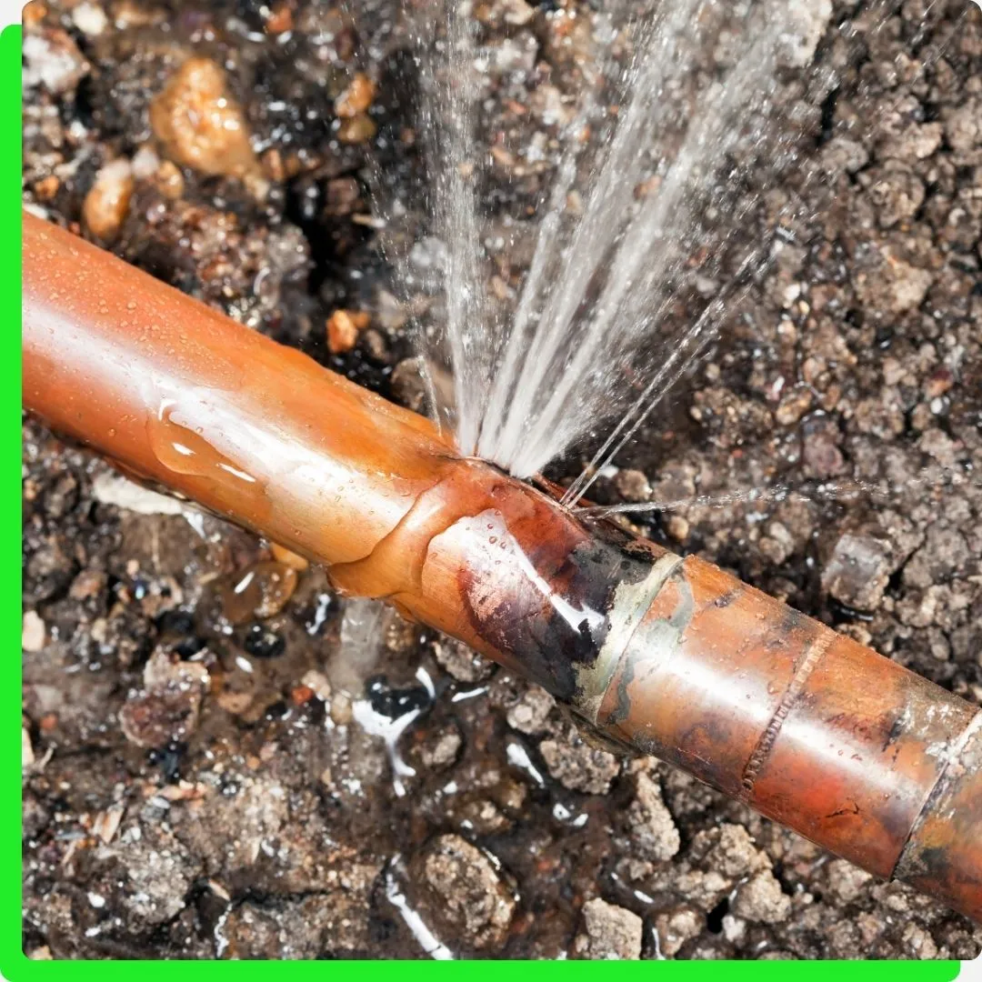 Professional Leak Detection Repair