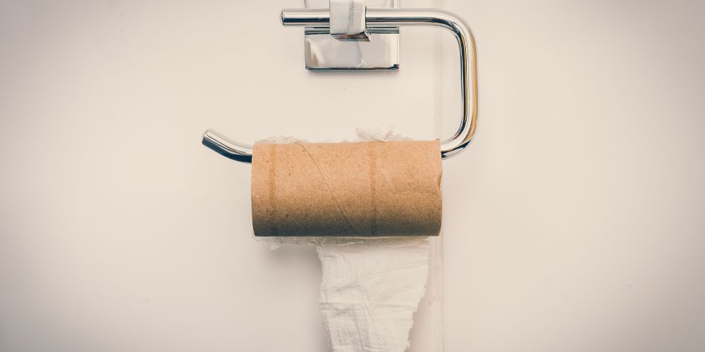 Too Much Toilet Paper