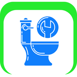 Toilet Repairs